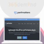 Perfmatters Activation With Key (1 Year)